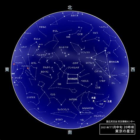 11月25日 星座